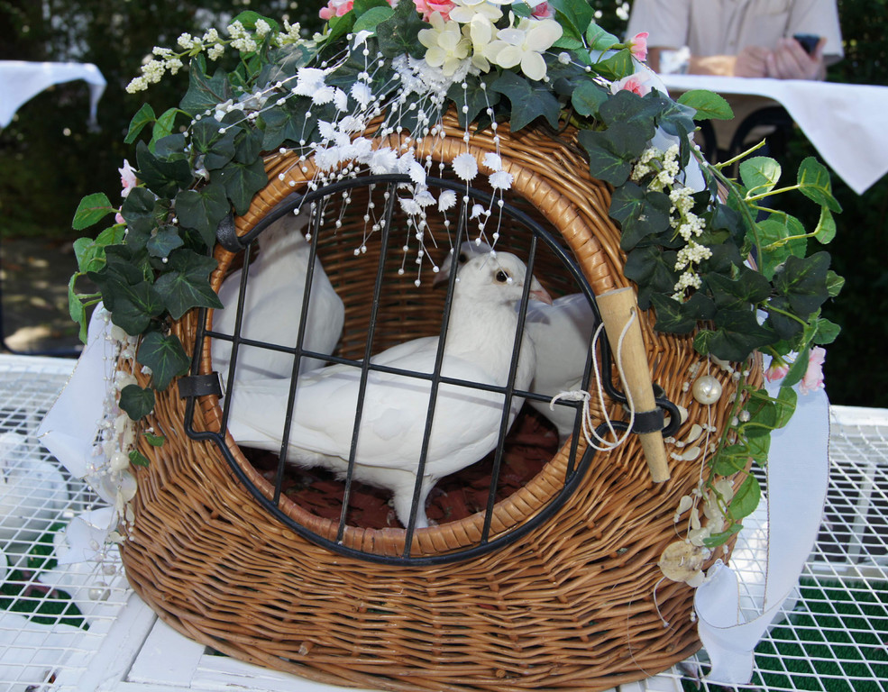 DSC03846.JPG