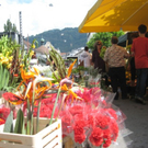 BK_260609 Bregenz 011.jpg