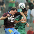 file61cd3gsgahuiik1d2ts.jpg