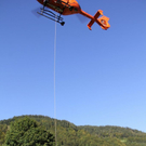 normal_10092011steinrlaktivnews_20_35_.jpg