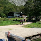 IMG_8579__Kopie_.jpg