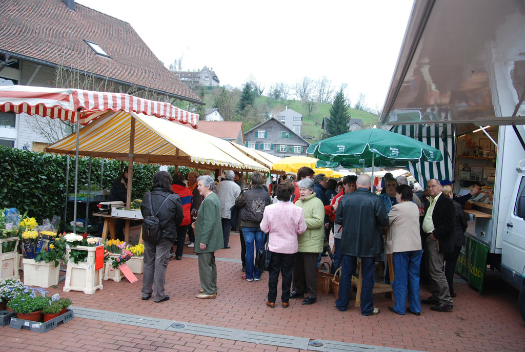 DSC_5511_jpg-1315734077