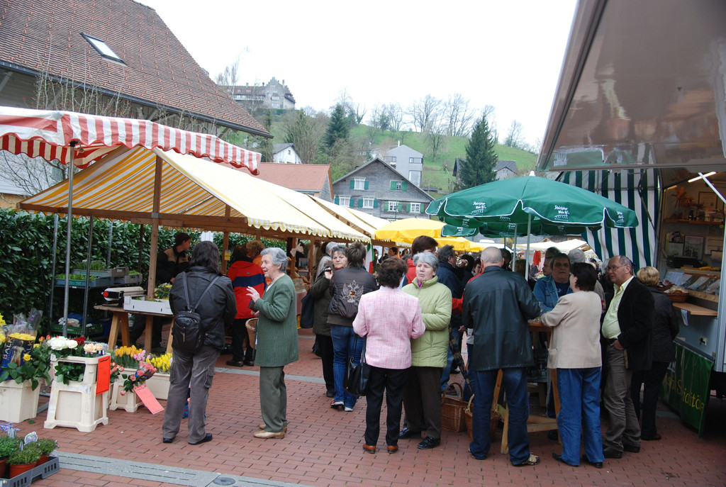 DSC_5512_jpg-1315734095