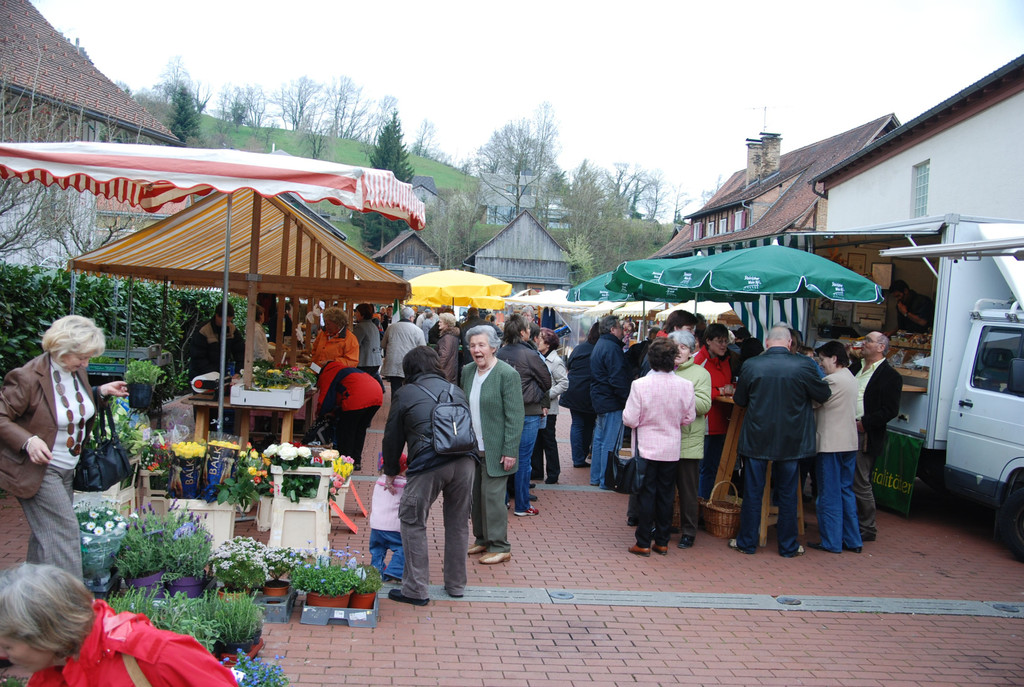 DSC_5513_jpg-1315734113