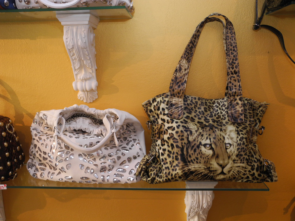 DSCN8306_JPG-1315741860