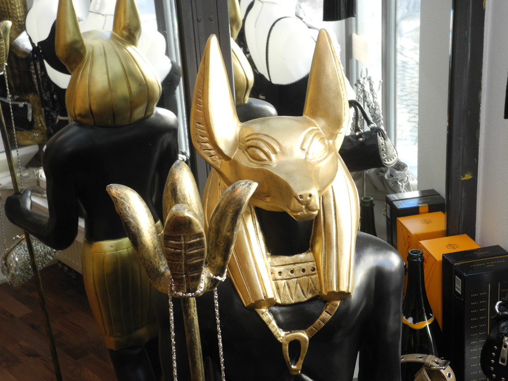 DSCN8316_JPG-1315741966