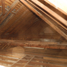 DSCN8167_JPG-1315742527