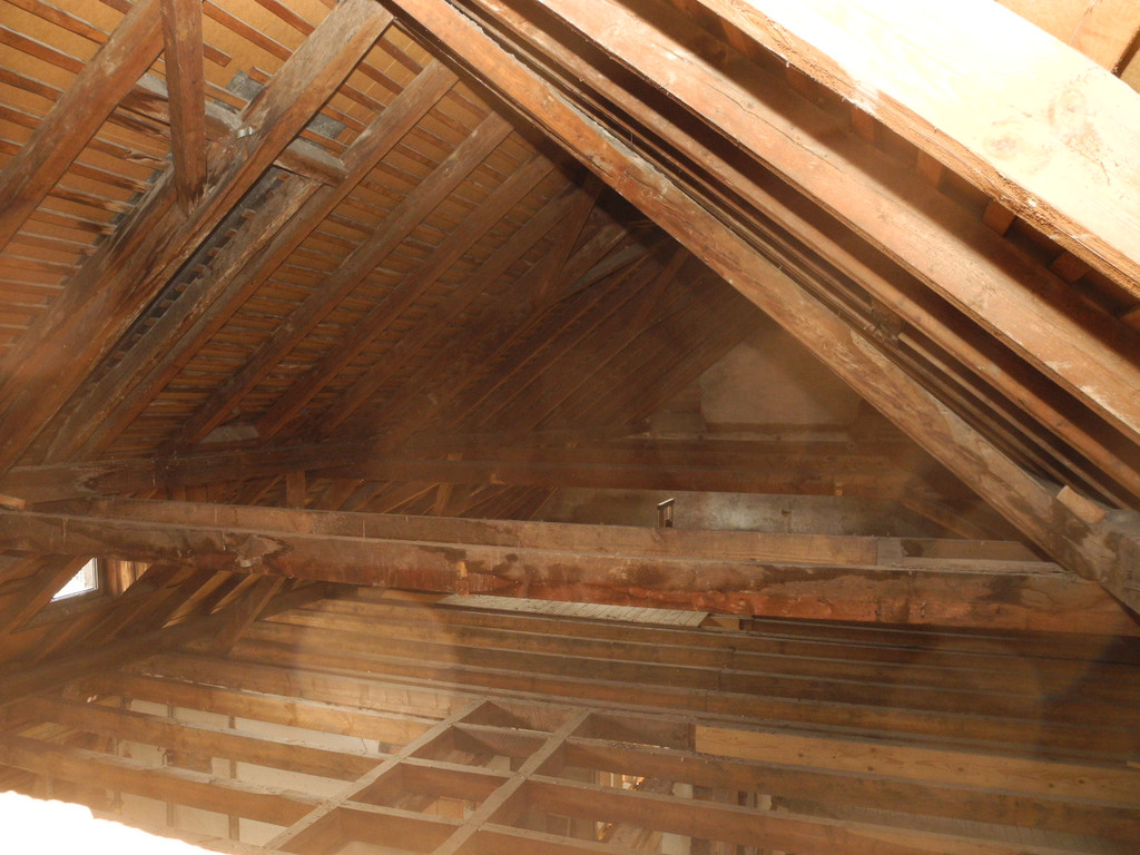 DSCN8167_JPG-1315742527