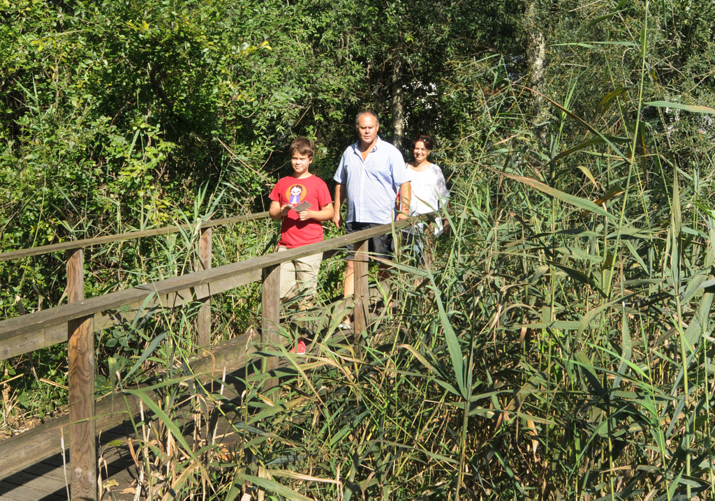 Rheindeltajubil__um 11_09_2011 37_jpg-1315742747