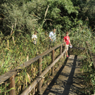 Rheindeltajubil__um 11_09_2011 40_jpg-1315742786