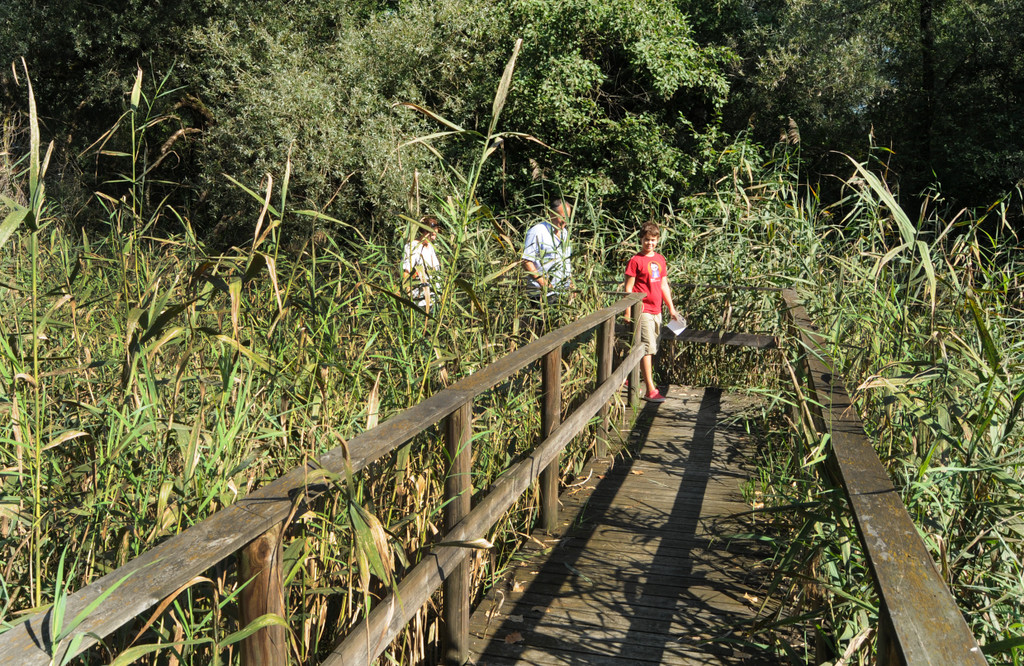 Rheindeltajubil__um 11_09_2011 40_jpg-1315742786