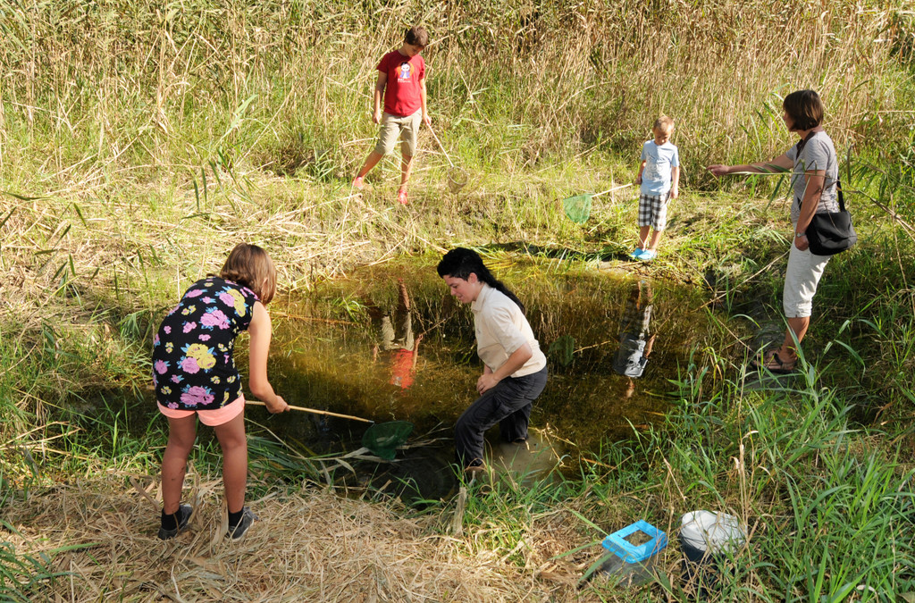 Rheindeltajubil__um 11_09_2011 44_jpg-1315742856