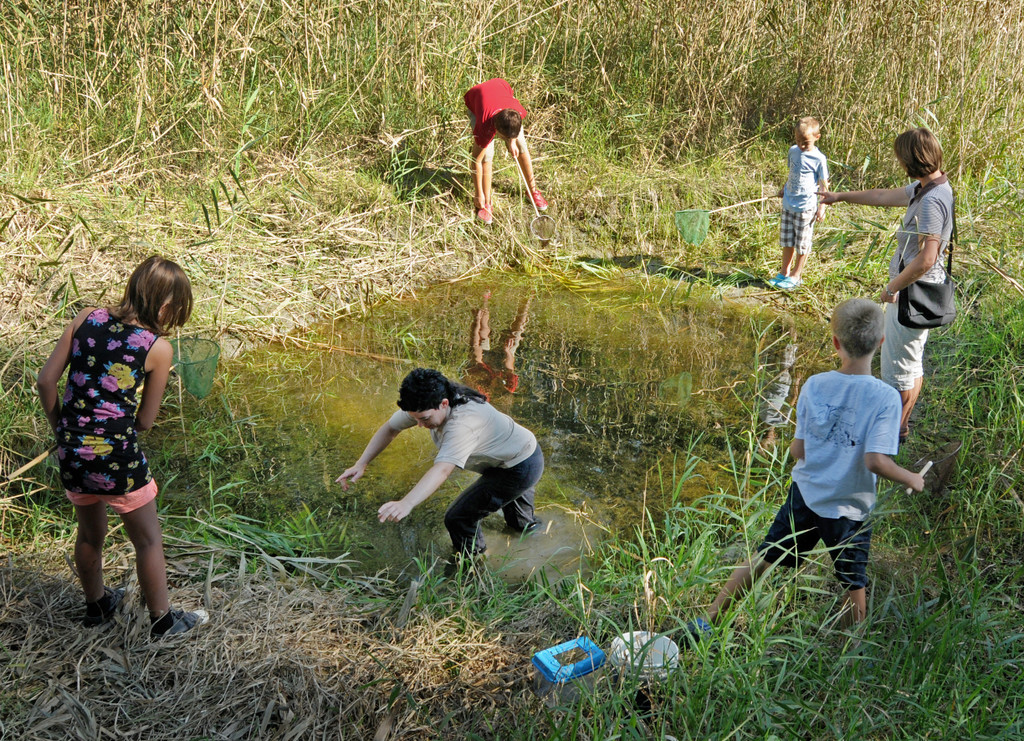 Rheindeltajubil__um 11_09_2011 45_jpg-1315742901