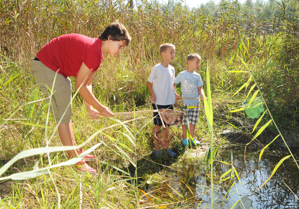 Rheindeltajubil__um 11_09_2011 46_jpg-1315742948