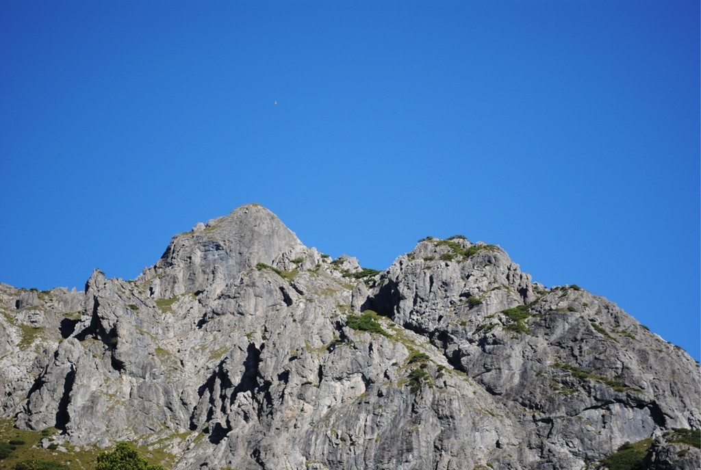 KOE_Schafabtrieb Gsrsella 9_jpg-1315758729