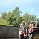 KOE_Schafabtrieb Gsrsella 42_jpg-1315759023