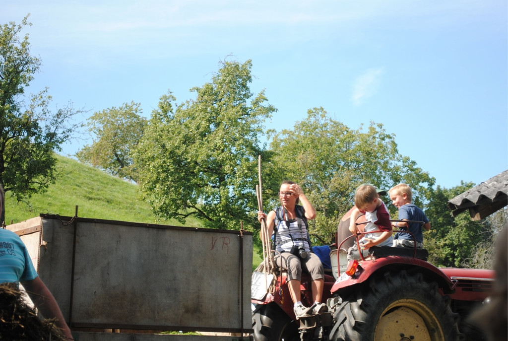 KOE_Schafabtrieb Gsrsella 42_jpg-1315759023