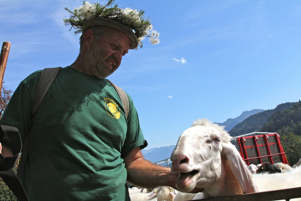 KOE_Schafabtrieb Gsrsella 47_jpg-1315759063