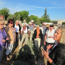 Rhone- Saone Flussfahrt 2011 120_jpg-1315811437