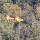 normal_11092011landthalsteigrlaktivnews_4.jpg