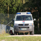 normal_11092011landthalsteigrlaktivnews_8.jpg