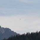normal_11092011watzmannrlaktivnews_16.jpg