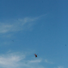 normal_11092011ubergdsaktivnews_16.jpg