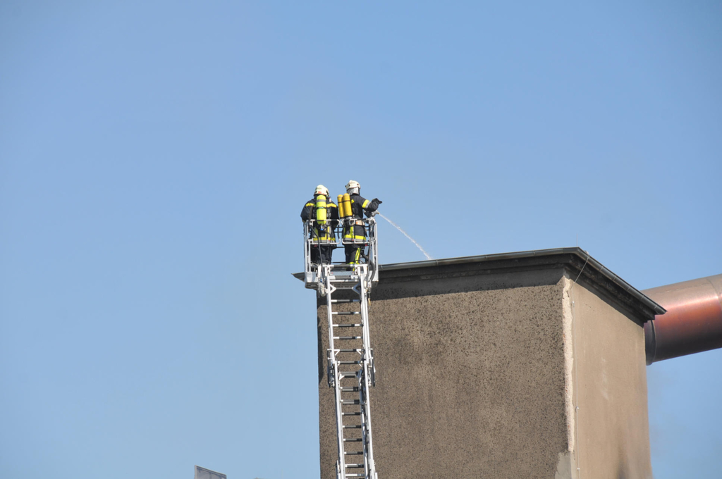 FF  Lepoldsdorf Marchfeld 095.JPG