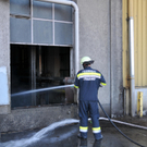 FF  Lepoldsdorf Marchfeld 219.JPG