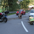normal_11092011vuschwarzffaktivnews_14.jpg