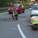 normal_11092011vuschwarzffaktivnews_15.jpg