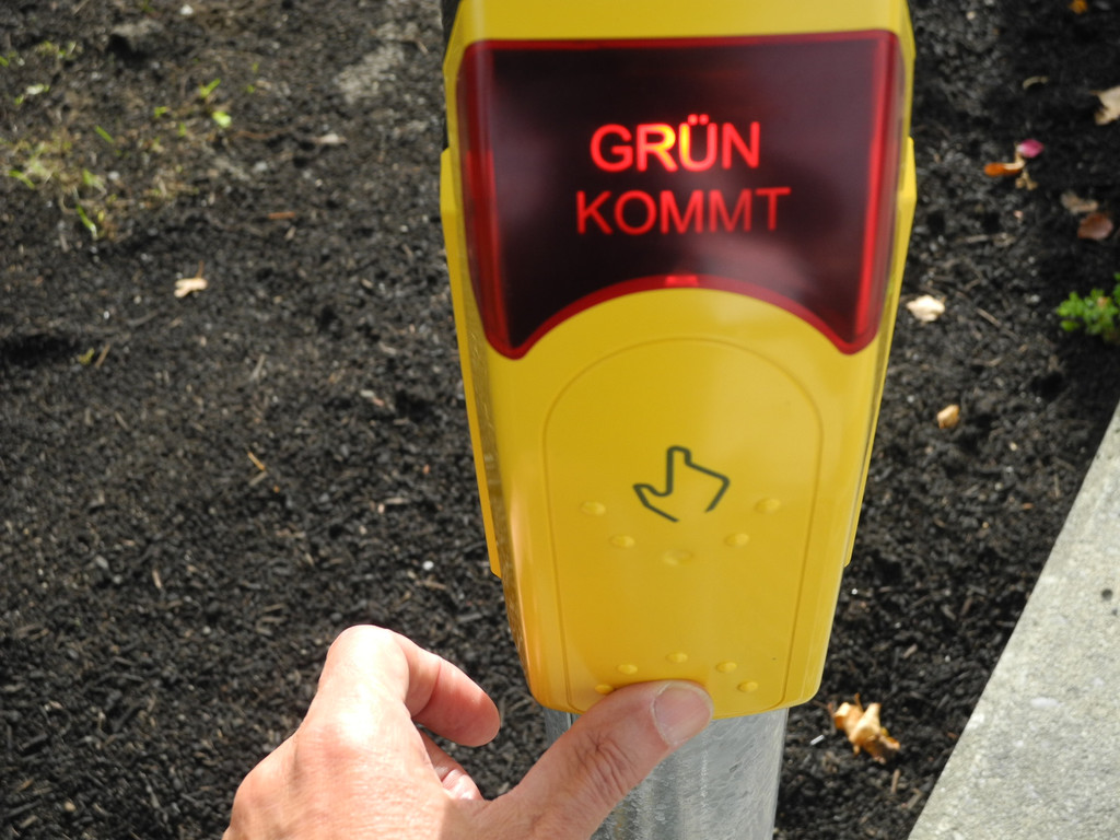 DSCN8504_JPG-1315817988