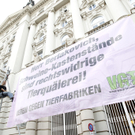 ABD0036-20110912.jpg