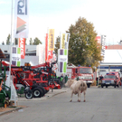 Bilder von "Burli"