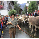 DSC09130 _2_.JPG