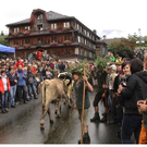 DSC09131 _2_.JPG