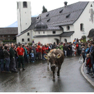 DSC09136 _2_.JPG