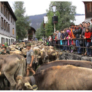 DSC09146 _2_.JPG