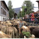 DSC09147 _2_.JPG