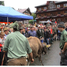 DSC09148 _2_.JPG