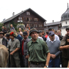 DSC09160 _2_.JPG