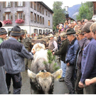 DSC09166 _2_.JPG