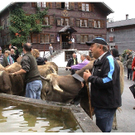 DSC09172 _2_.JPG
