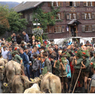 DSC09190 _2_.JPG