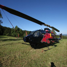 normal_11092011helidayzdaktivnews__1_.jpg