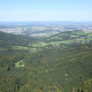 normal_11092011helidayzdaktivnews__115_.jpg