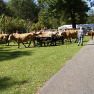 DSC04051.JPG