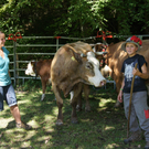 DSC04084.JPG