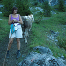 20110910-Alpabtrieb Spullers _2_.jpg