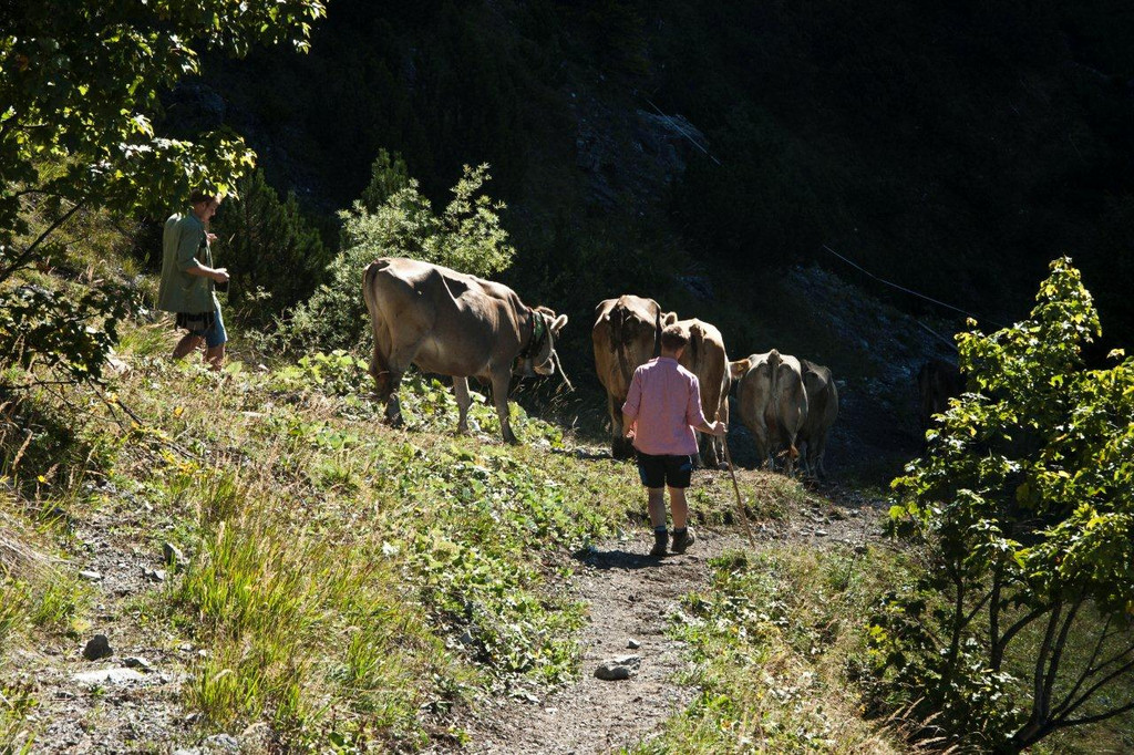 20110910-Alpabtrieb Spullers _34_.jpg